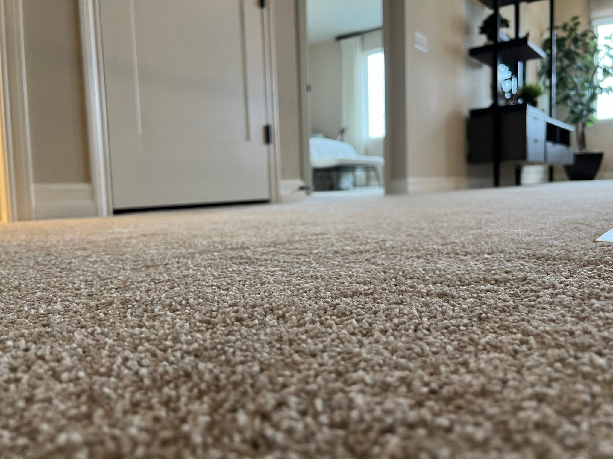 Fort Collins Flooring business image in Fort Collins, CO