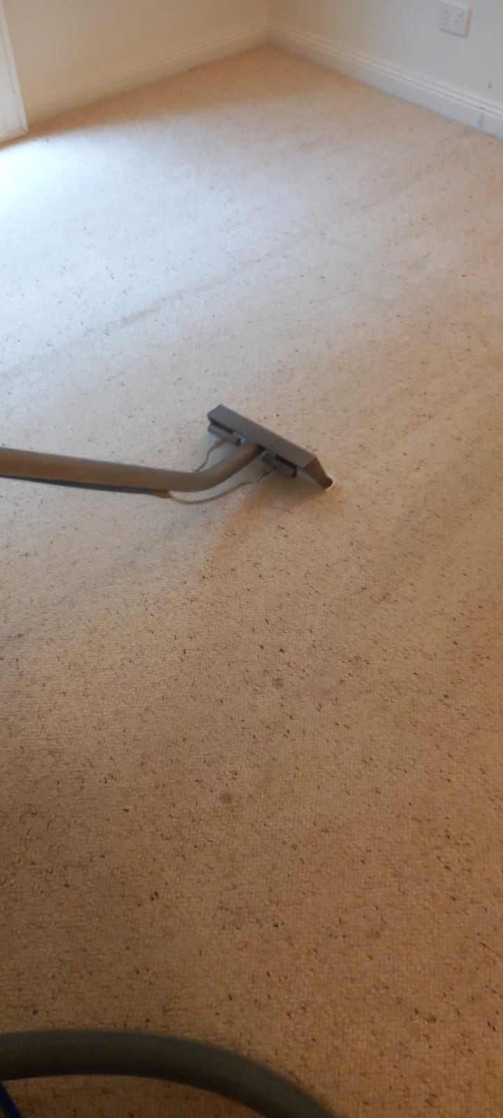 AXZ Cleaning Services business image in Melbourne, Victoria